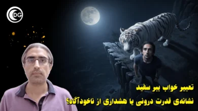 تعبیر خواب ببر سفید: رمزگشایی از قدرت، پاکی و پیام‌های پنهان در رویای شما